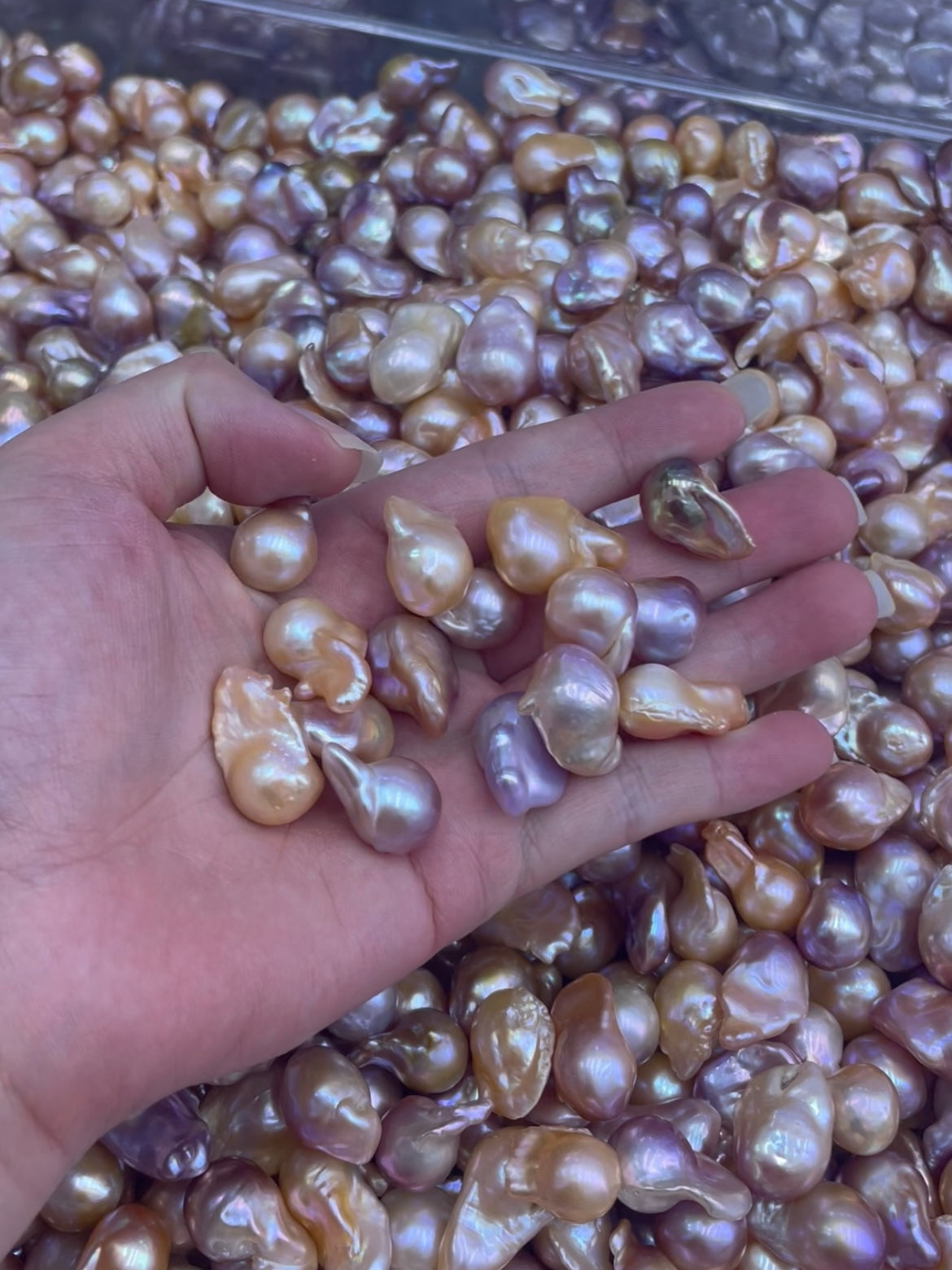 15–20mm Purple and Orange Baroque Loose Pearls, 5A